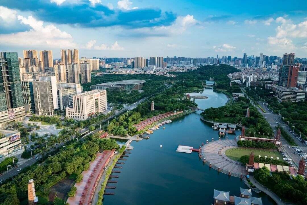 2025新澳门天天精准免费大全,精选解析、解释与落实