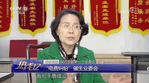 今晚必开一肖四不像图,构建解答解释落实