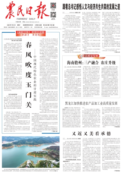咨询 第33页